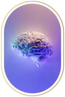 img-kit-memoria-3